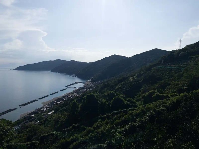 佐田岬の南向きの海崖の様子