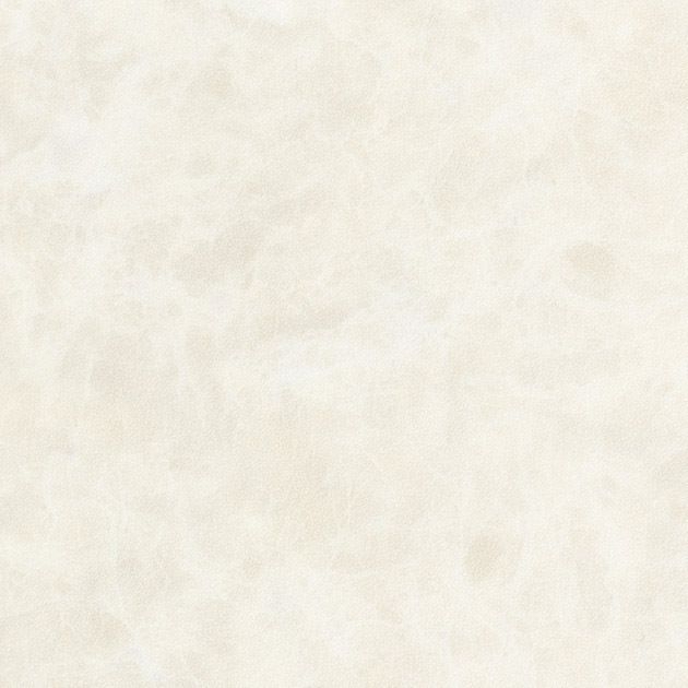 フロア_住宅用クッションフロア／STONE/エンペラドール（目地なし）