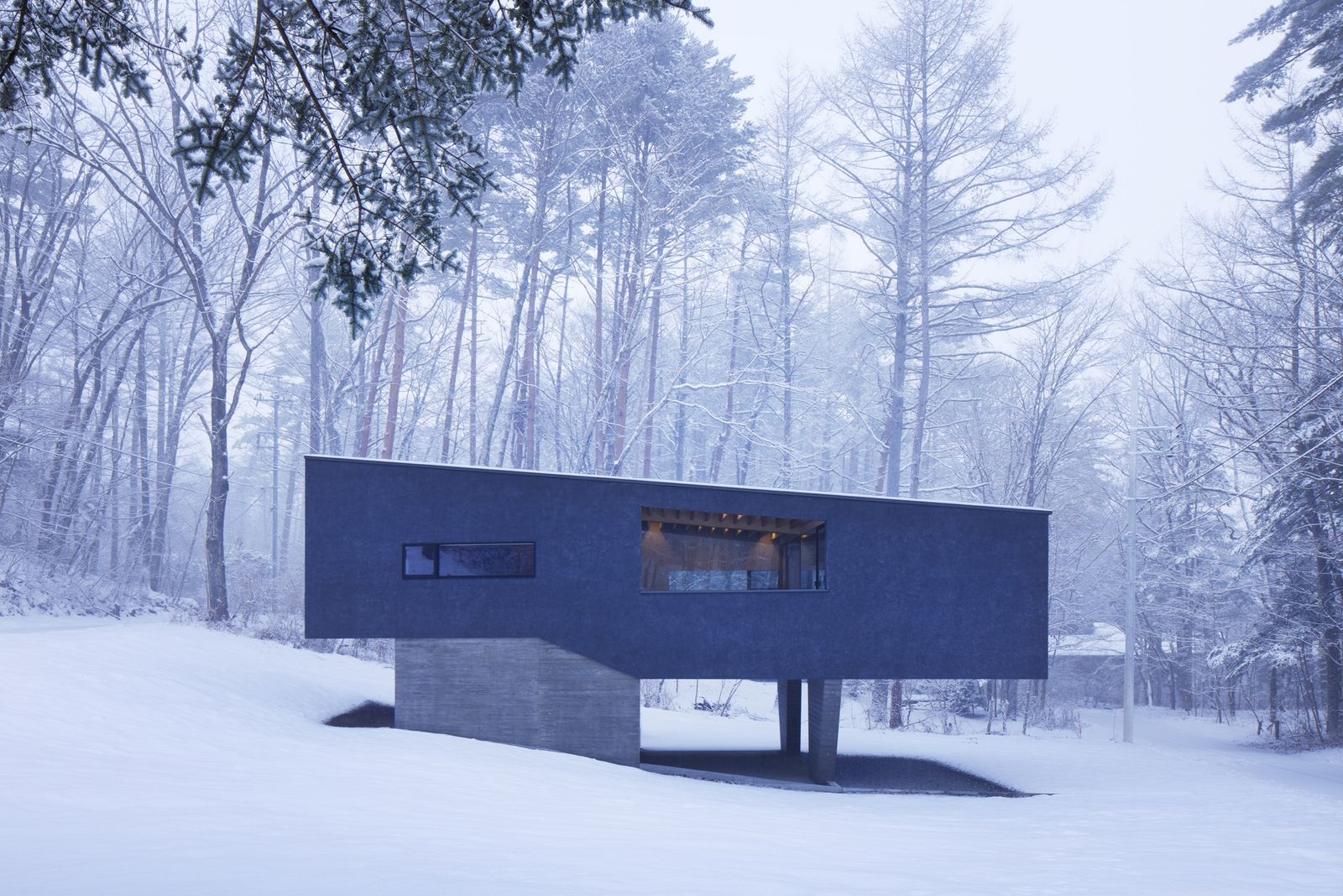 河口湖の森の家 | TECTURE（テクチャー）