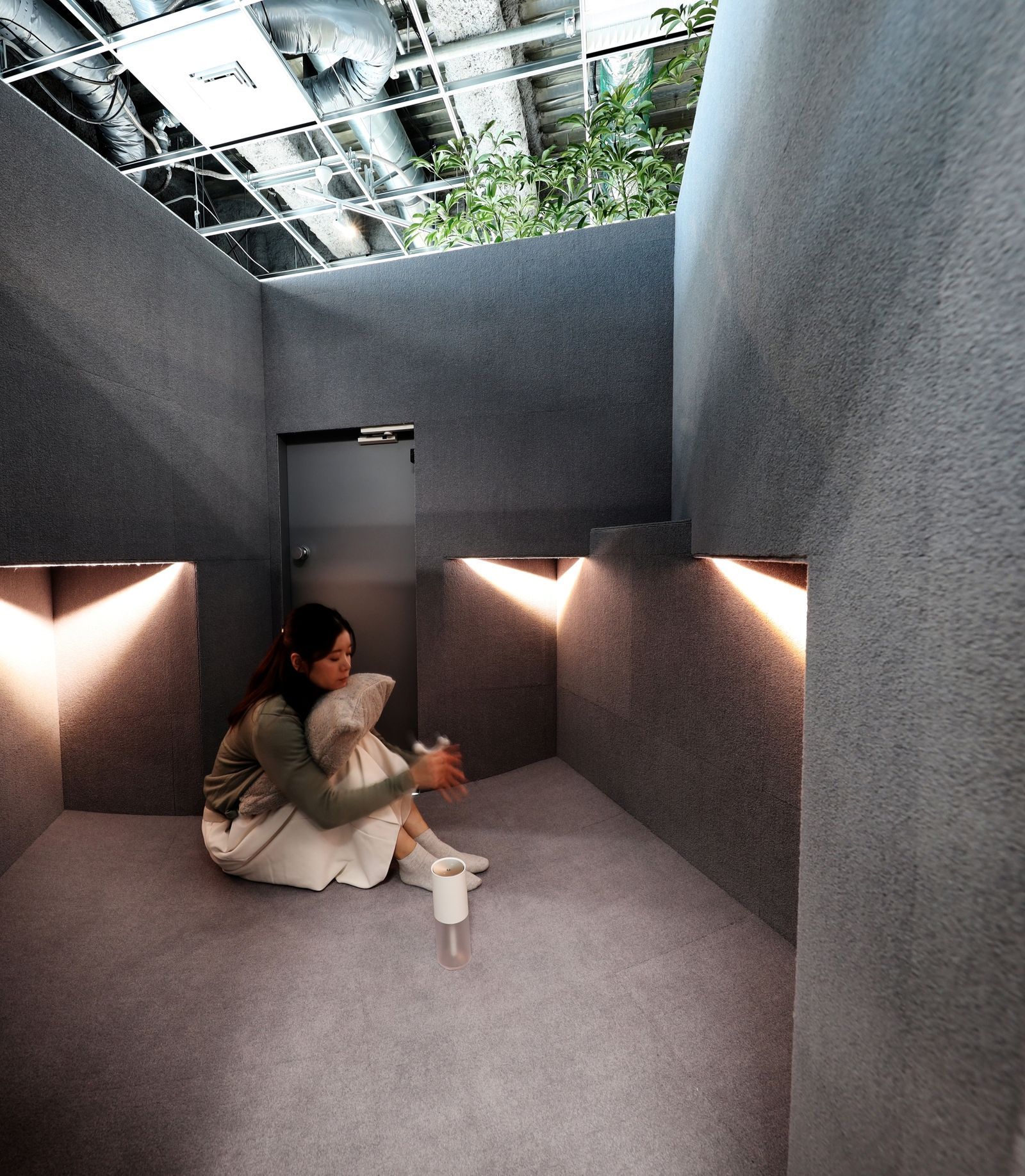 Amazon.co.jp: 防水透明シートPvc 防水カーテン 340 x 450 cm 引き裂き抵抗台風豪雨害対策耐久性風塵雨雪透明Pvcよけシト 屋外のよけ飛沫止花粉症対策保護ロプ付适用于ガデニング庭植物保護カバテラスバルコニ屋外, A : DIY, Tools & Garden 防水透明シートPvc 防水カーテン 270 x 340 cm 引き裂き抵抗台風豪雨害対策耐久性風塵雨雪透湿シト明飛沫止花粉症対策保護