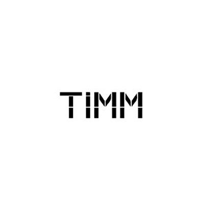 TIMM architecture