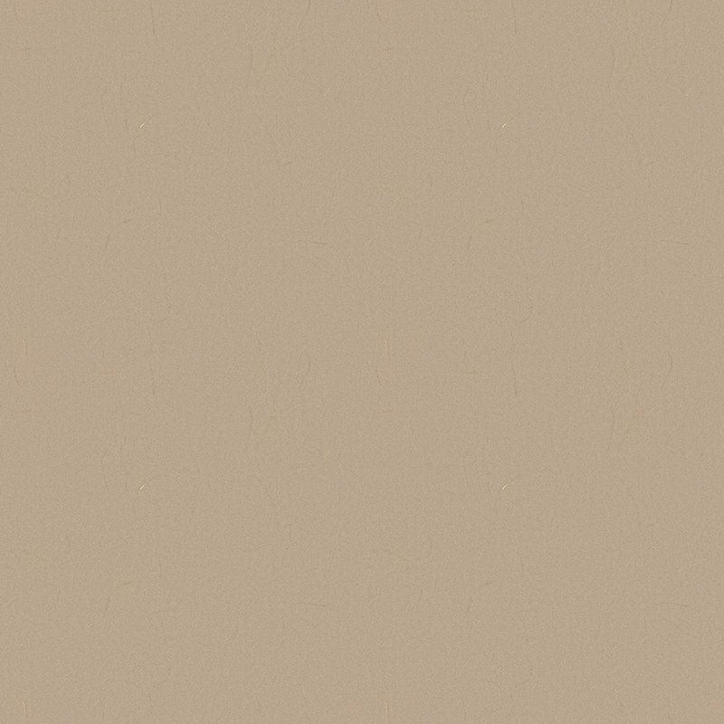 TOLI GRAND WALL COLLECTION/和紙・不織布