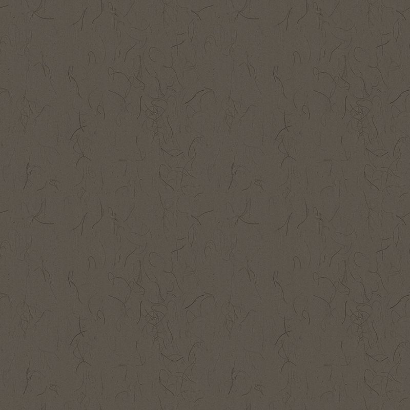 TOLI GRAND WALL COLLECTION/和紙・不織布
