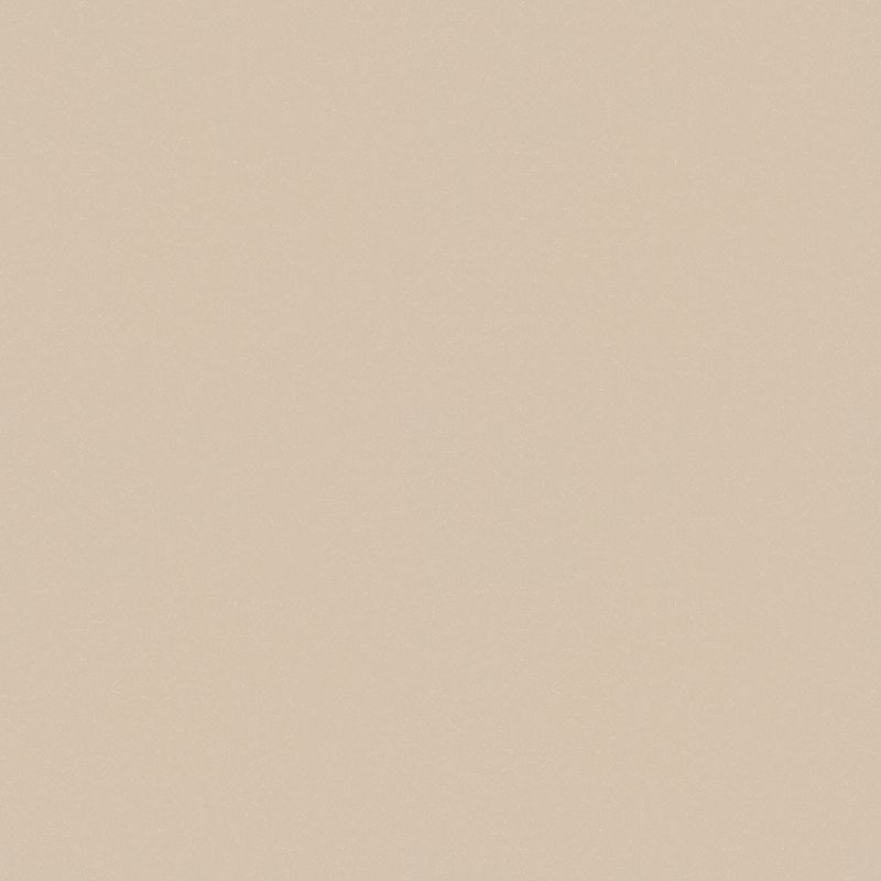 TOLI GRAND WALL COLLECTION/和紙・不織布
