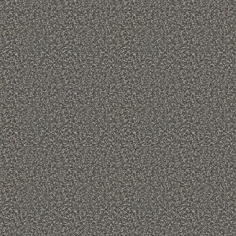 サムネイル 1