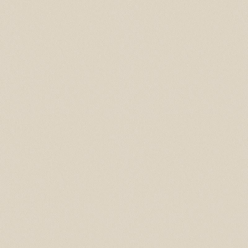 TOLI GRAND WALL COLLECTION/ふりまき・珪藻土
