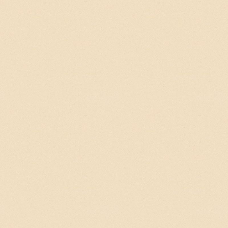 TOLI GRAND WALL COLLECTION/ふりまき・珪藻土