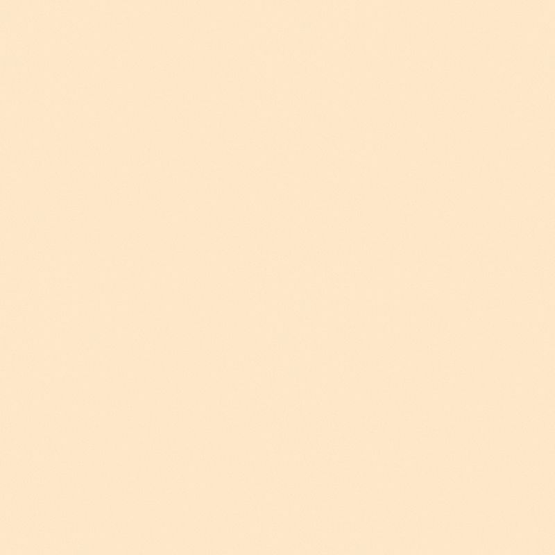 TOLI GRAND WALL COLLECTION/ふりまき・珪藻土
