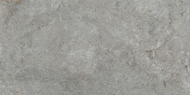 オーネイトゼノリス - 600×300平（20㎜厚）