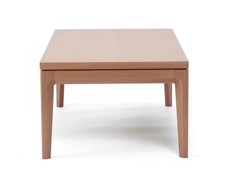 RIBOT Low Table  リボー