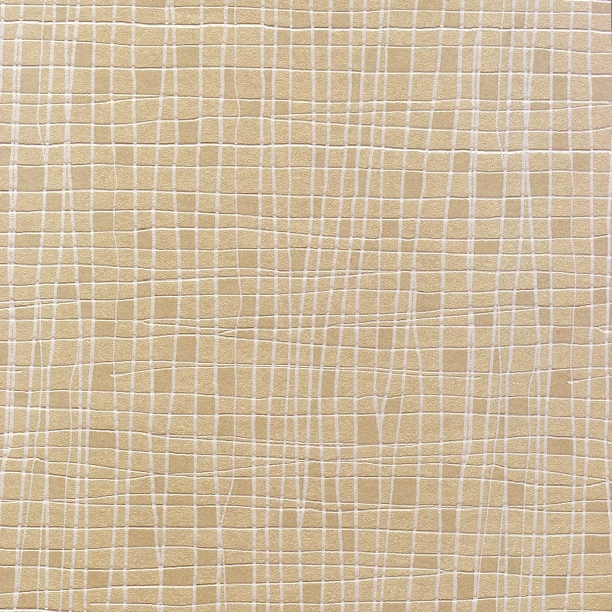商品画像 1