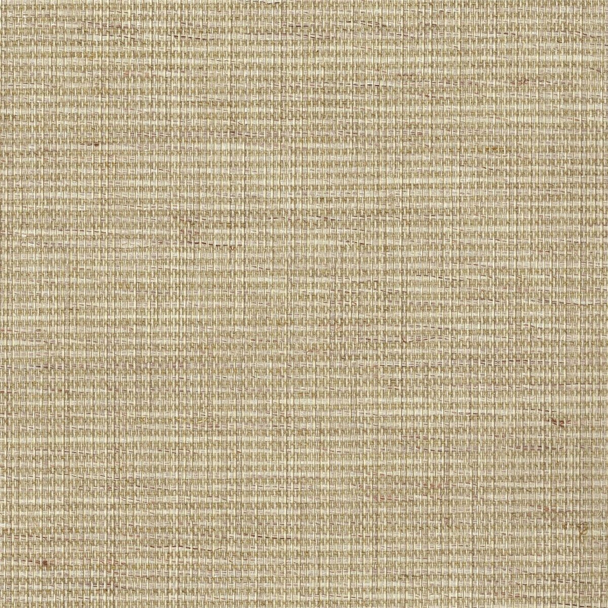 商品画像 1