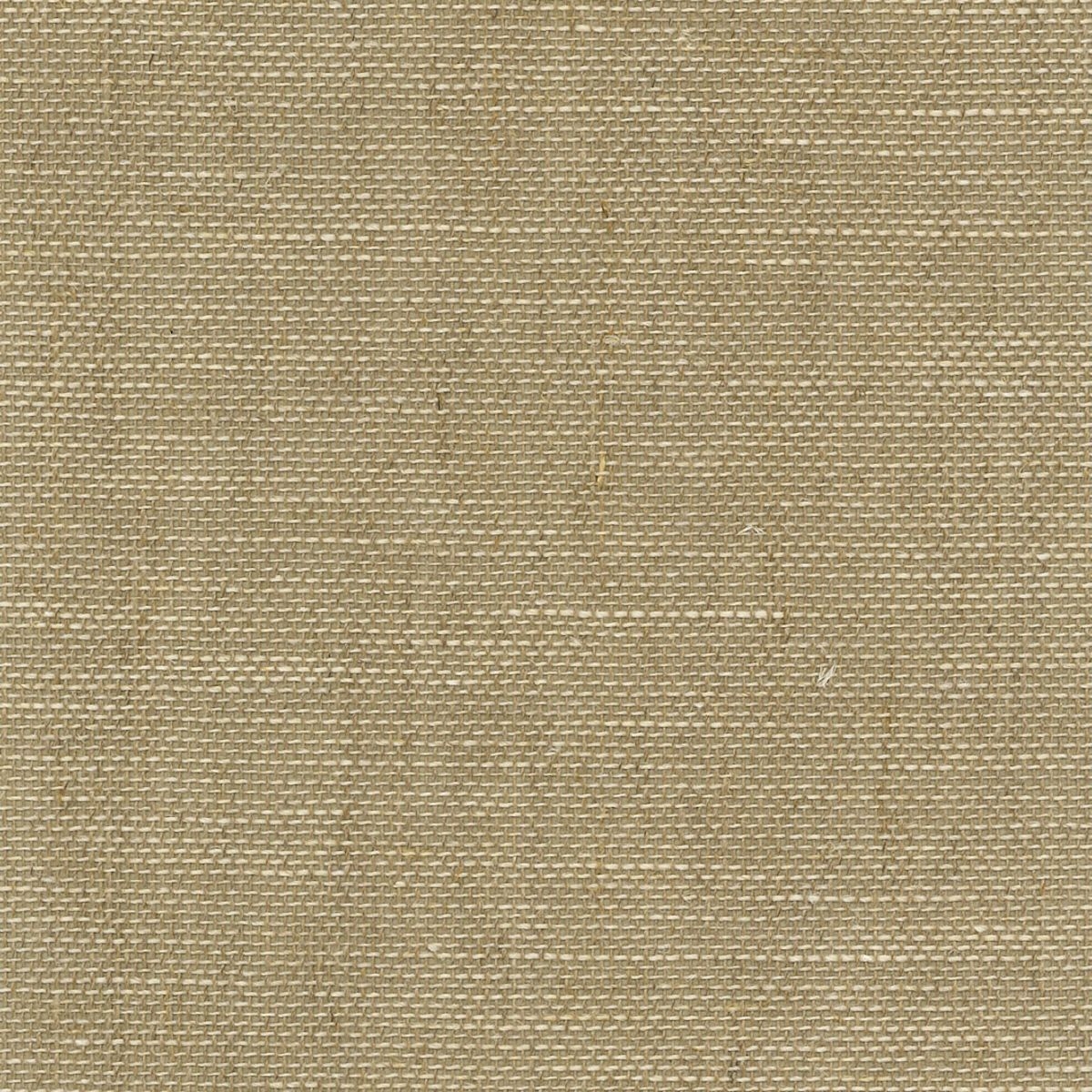 商品画像 1