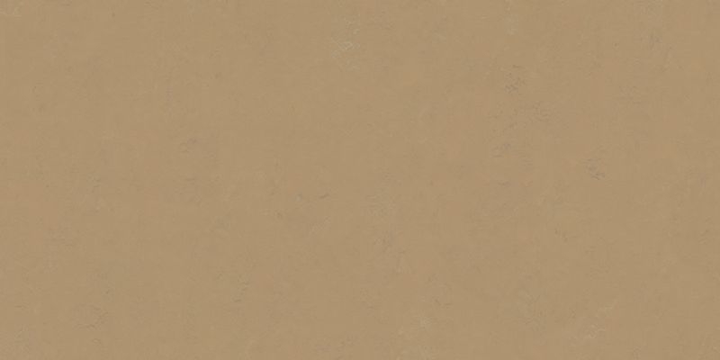サムネイル 1