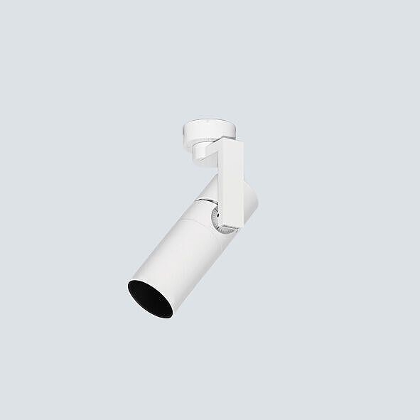 Spotlight Flange mounting