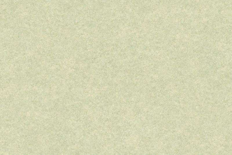 CFシート-H
