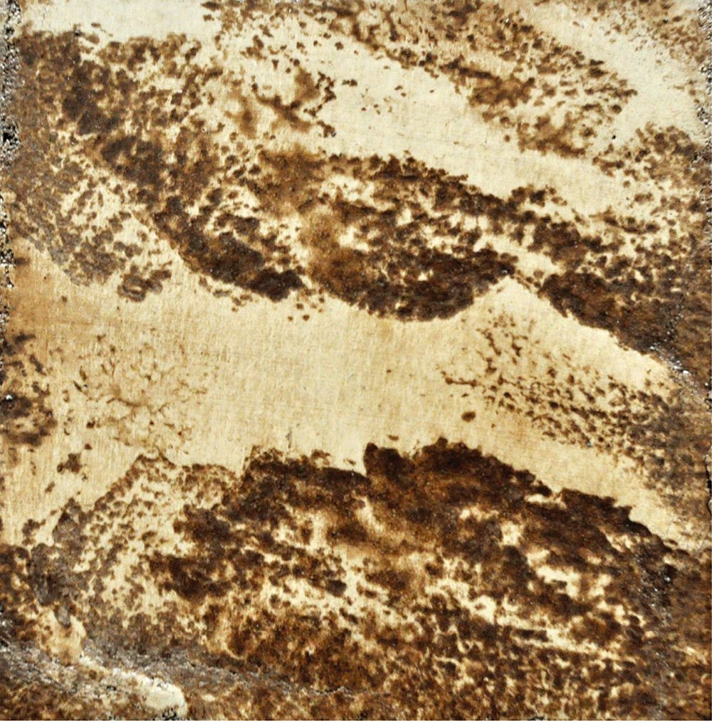 商品画像 1