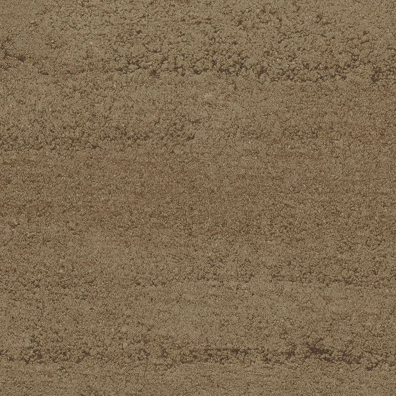 【＋1】 plus one　mood /strata