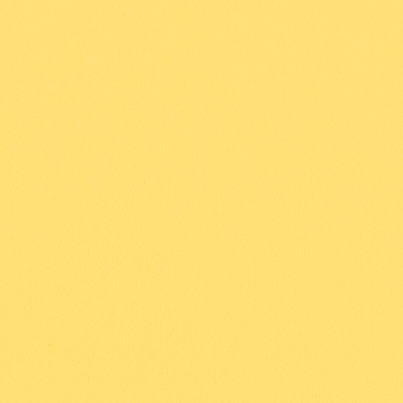 Lilycolor British Colours/Dandelion ダンデライオン