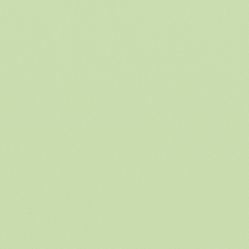 Lilycolor British Colours/Gooseberry  グーズベリー