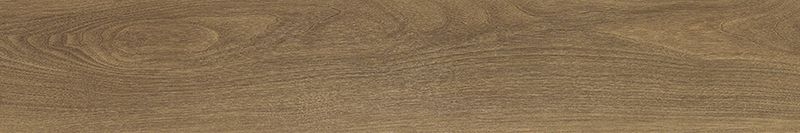 イークリンマスターNW-EX