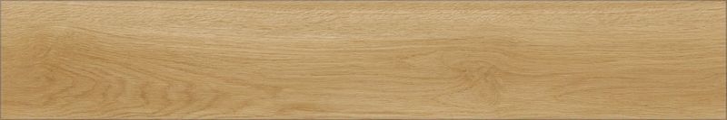 イークリンマスターNW-EX