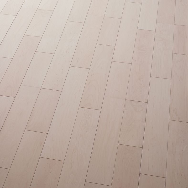 ライブナチュラルMSX ネダレス 145 for Dog（L-40） - ドライメイプル 1P