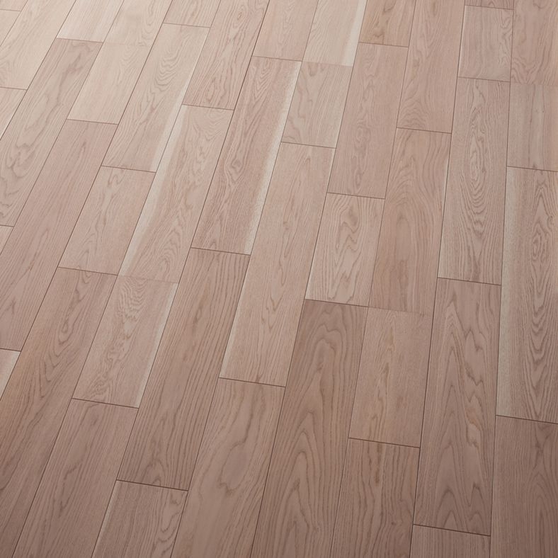 ライブナチュラルMSX ネダレス 145 for Dog（L-40） - ドライオーク 1P