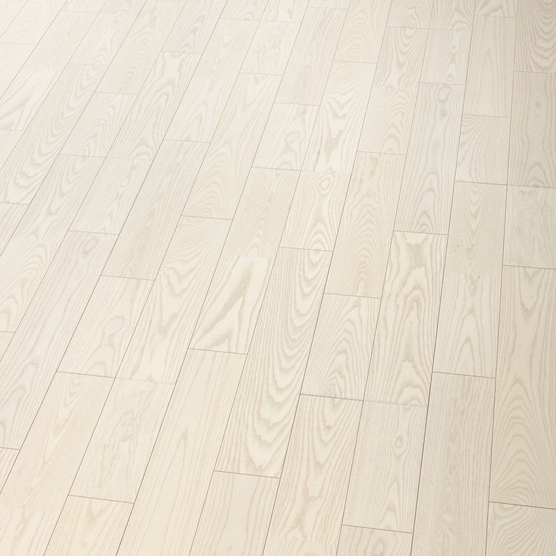 ライブナチュラルMSX ネダレス 145 for Dog（L-40） - シュガーホワイト（アッシュ）1P