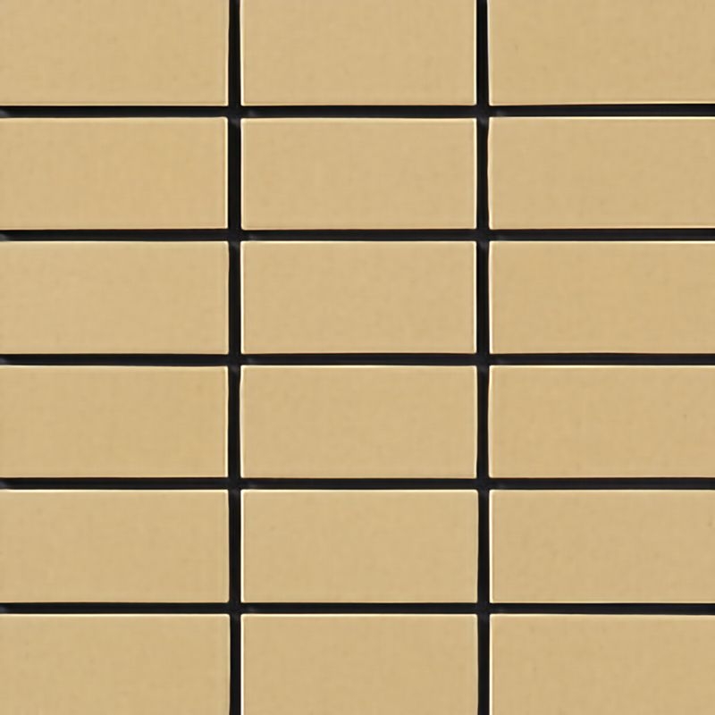 セーグルプレーン - 50二丁平 TRW/S-22A
