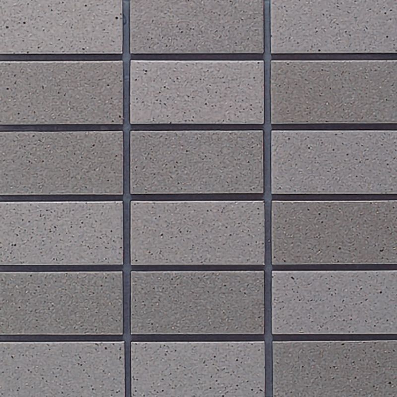 セーグルフラット - 50二丁平 TR/S-08AB