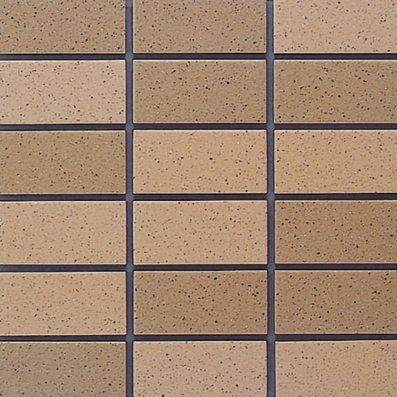 セーグルフラット - 50二丁平 TR/S-15AB