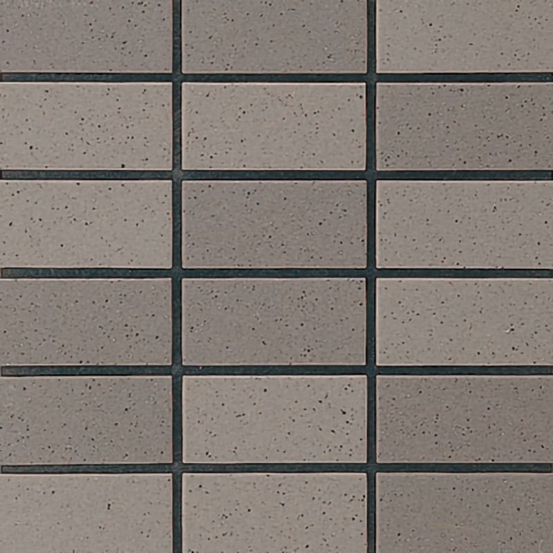 セーグルフラット - 50二丁平 TR/S-21AB