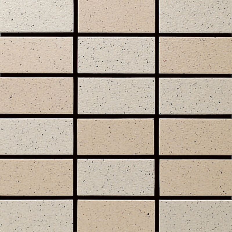 セーグルフラット - 50二丁平 TR/S-24AB