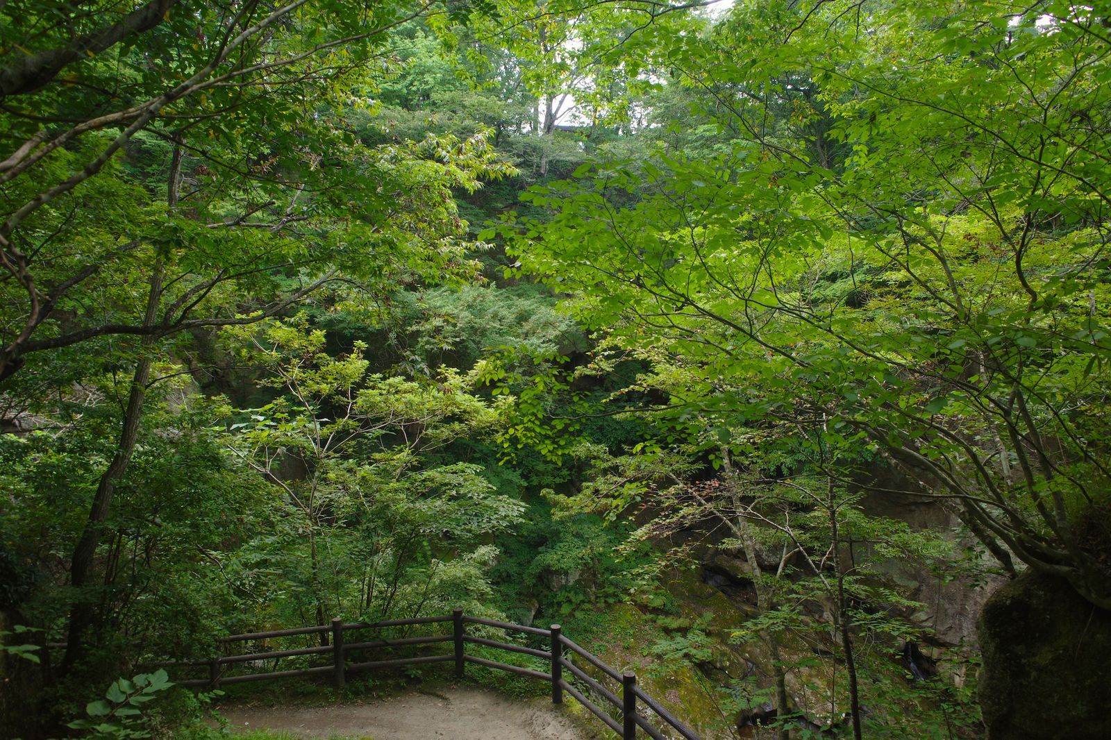 不審庵 つぼつぼ香合 木地 木工芸 天然木 不審庵 つぼつぼ香合 木地 木工芸 天然木 不審庵 つぼつぼ香合
