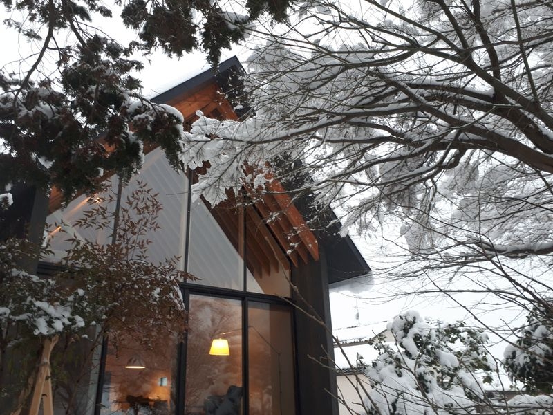 Branch house