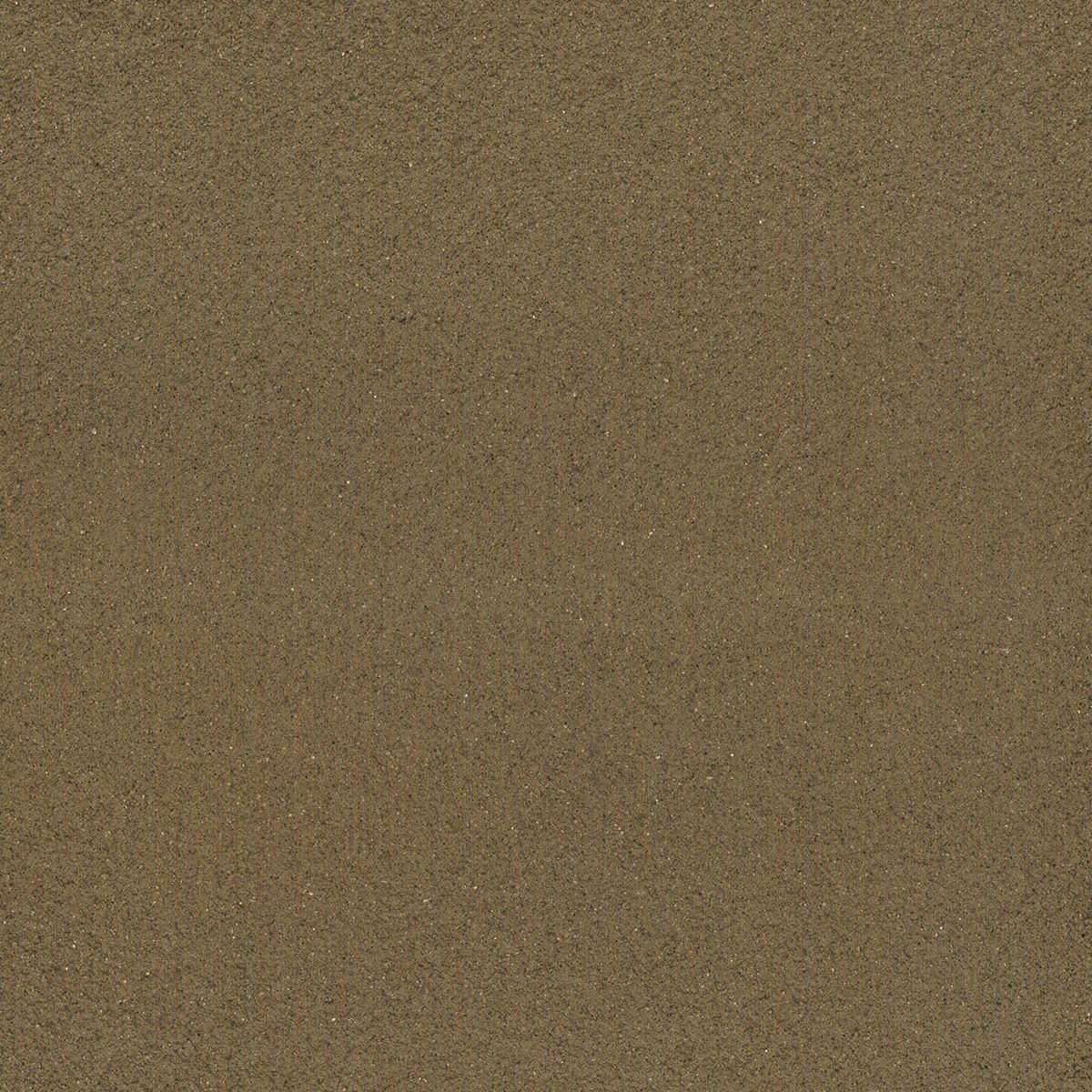 土壁空間　安土