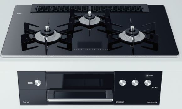 DELICIA AC100V電源タイプ
