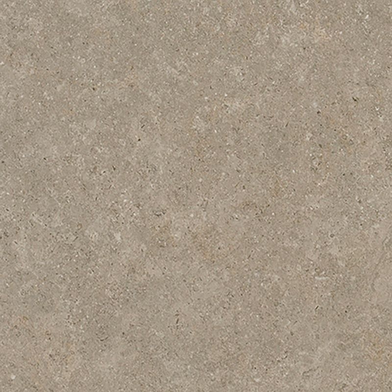 マティルNW/Eサイズ - シナイパール