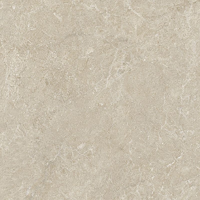 マティルNW/Eサイズ - サガン