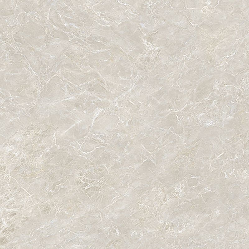 マティルNW/Eサイズ - ブライトエンペラー