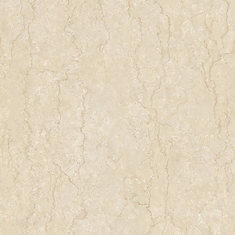 マティルNW/Eサイズ - ボテチーノ