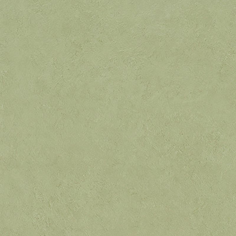 マティルNW/Eサイズ - カラー