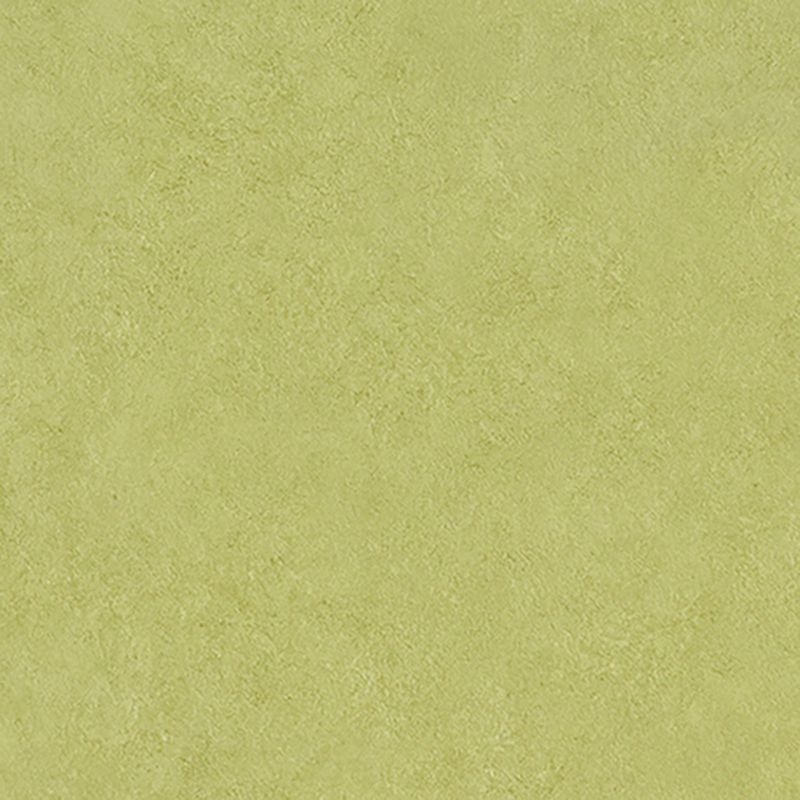 マティルNW/Eサイズ - カラー