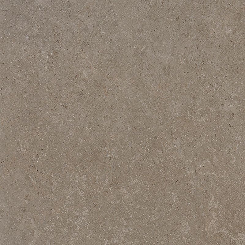 マティルNW/Wサイズ - シナイパール