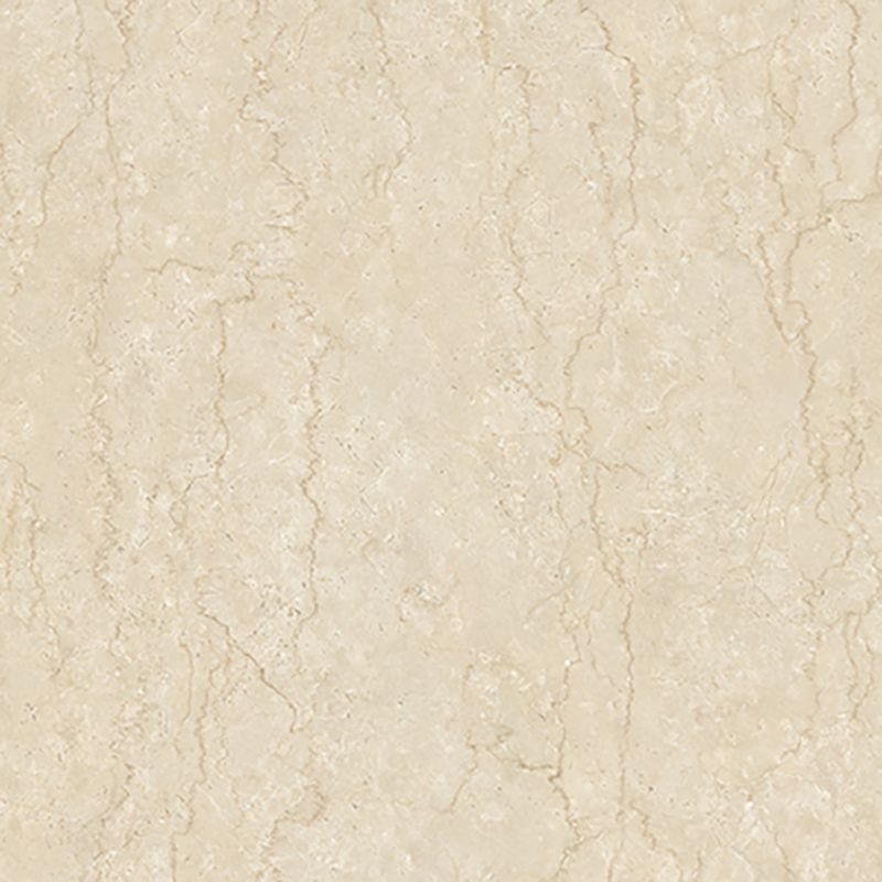 マティルNW プレミア/Eサイズ - ポテチーノ