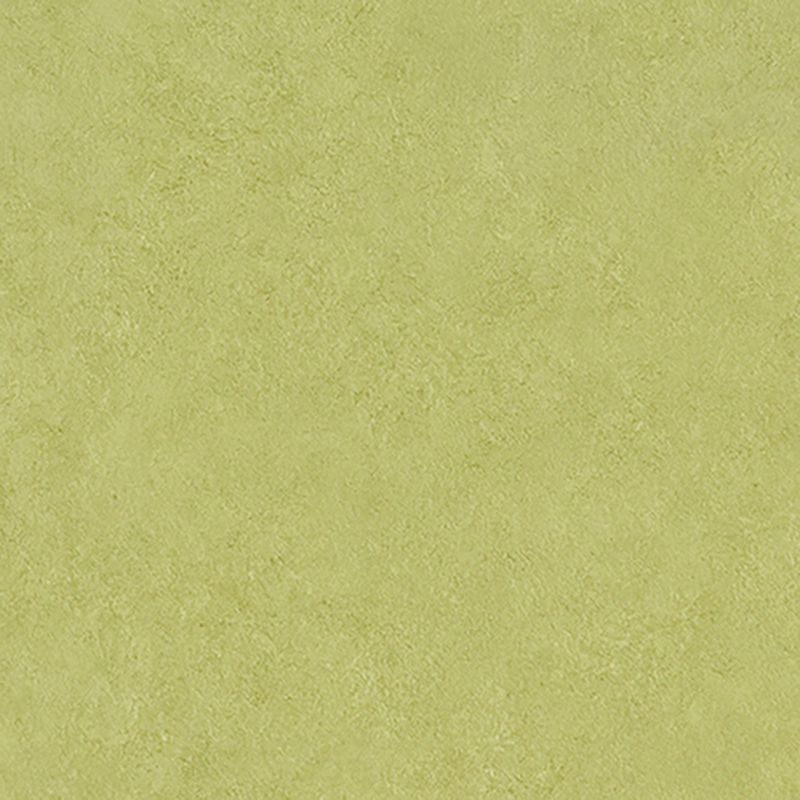 マティルNW プレミア/Eサイズ - カラー