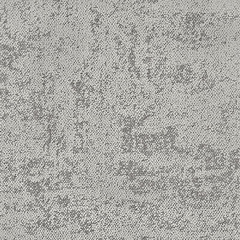 タピス　スグラフィート