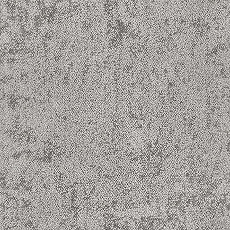 タピス　スグラフィート