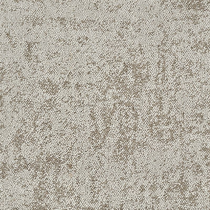 タピス　スグラフィート